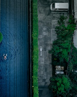An aerial view captures a swimming pool on the left with a person swimming in it, adjacent to a parking area on the right where a white van is parked. A line of green bushes separates the pool from the parking area, and trees can be seen bordering the scene.