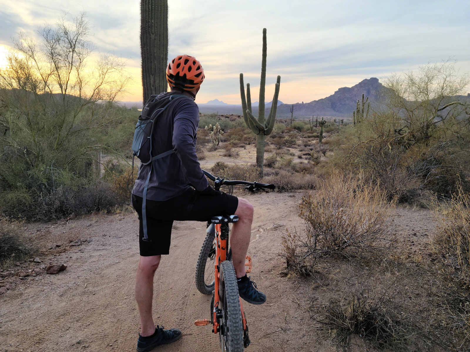 Tucson / Mt. Lemmon mountain biking
