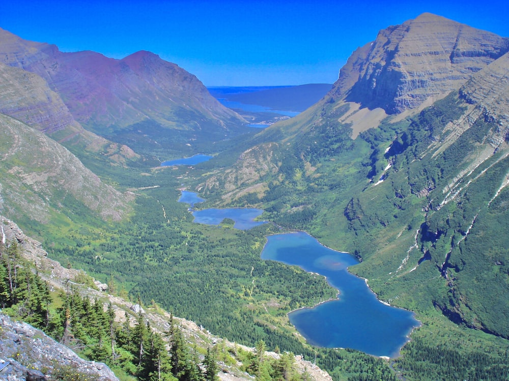 green trees and lake under blue sky during daytime