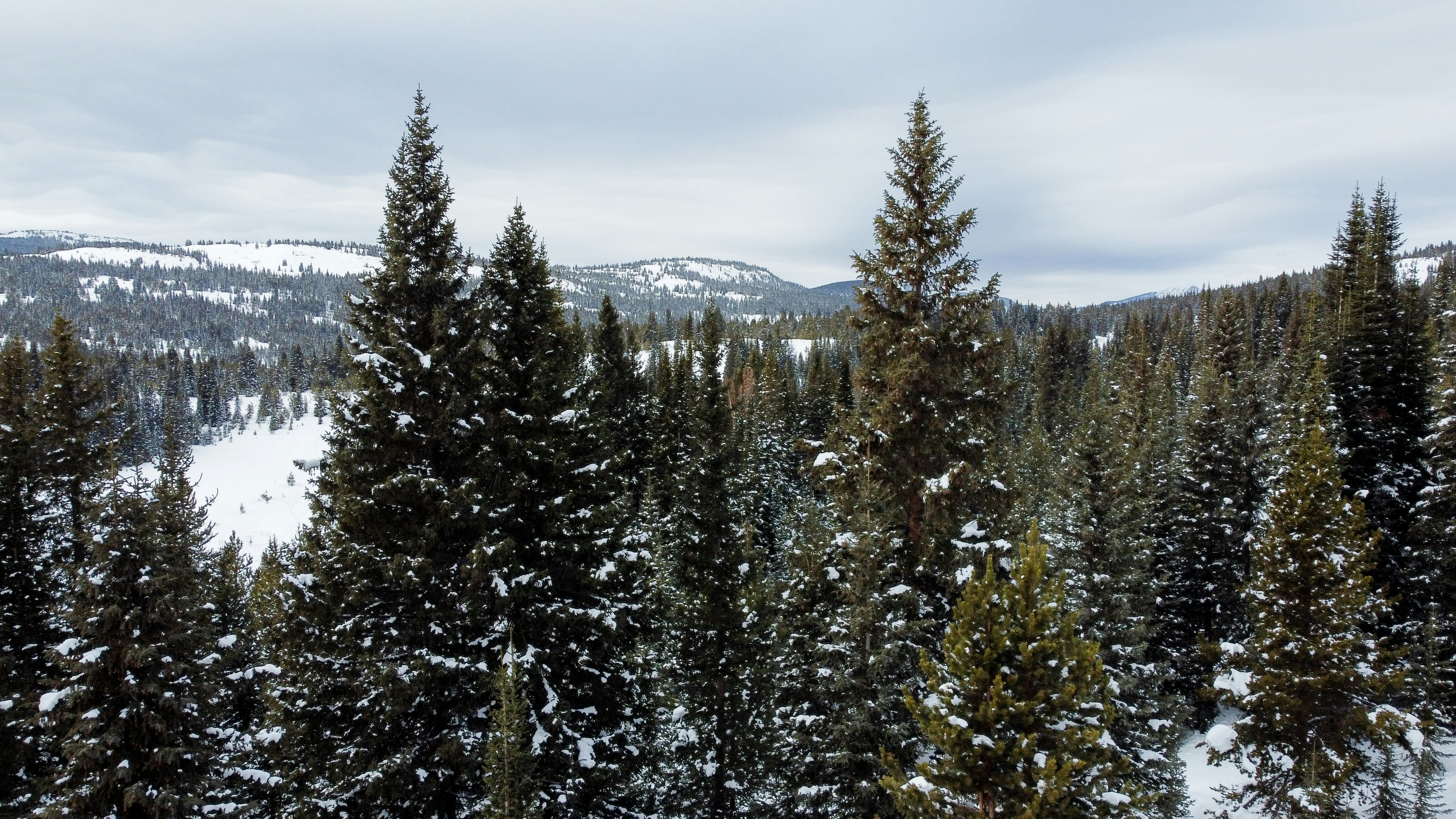 Photo by katie_musial