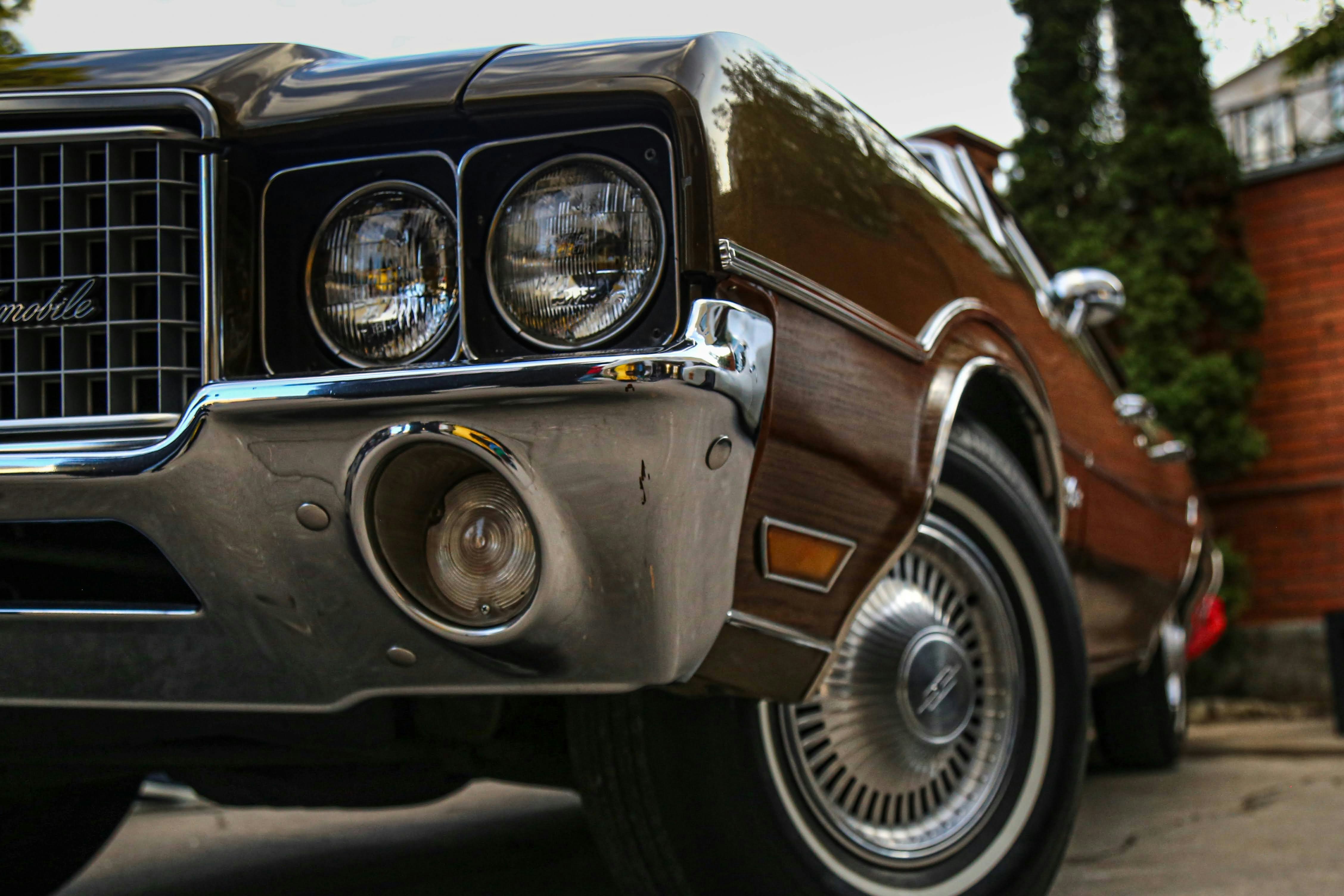 Photo by ksamvelovich