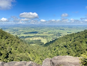 A panoramic view of lush agricultural fields surrounded by natural forest