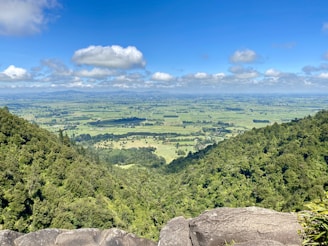 A panoramic view of lush agricultural fields surrounded by natural forest