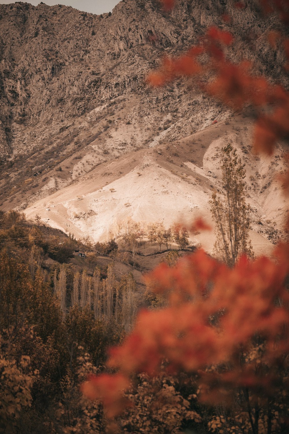 montagna innevata durante il giorno