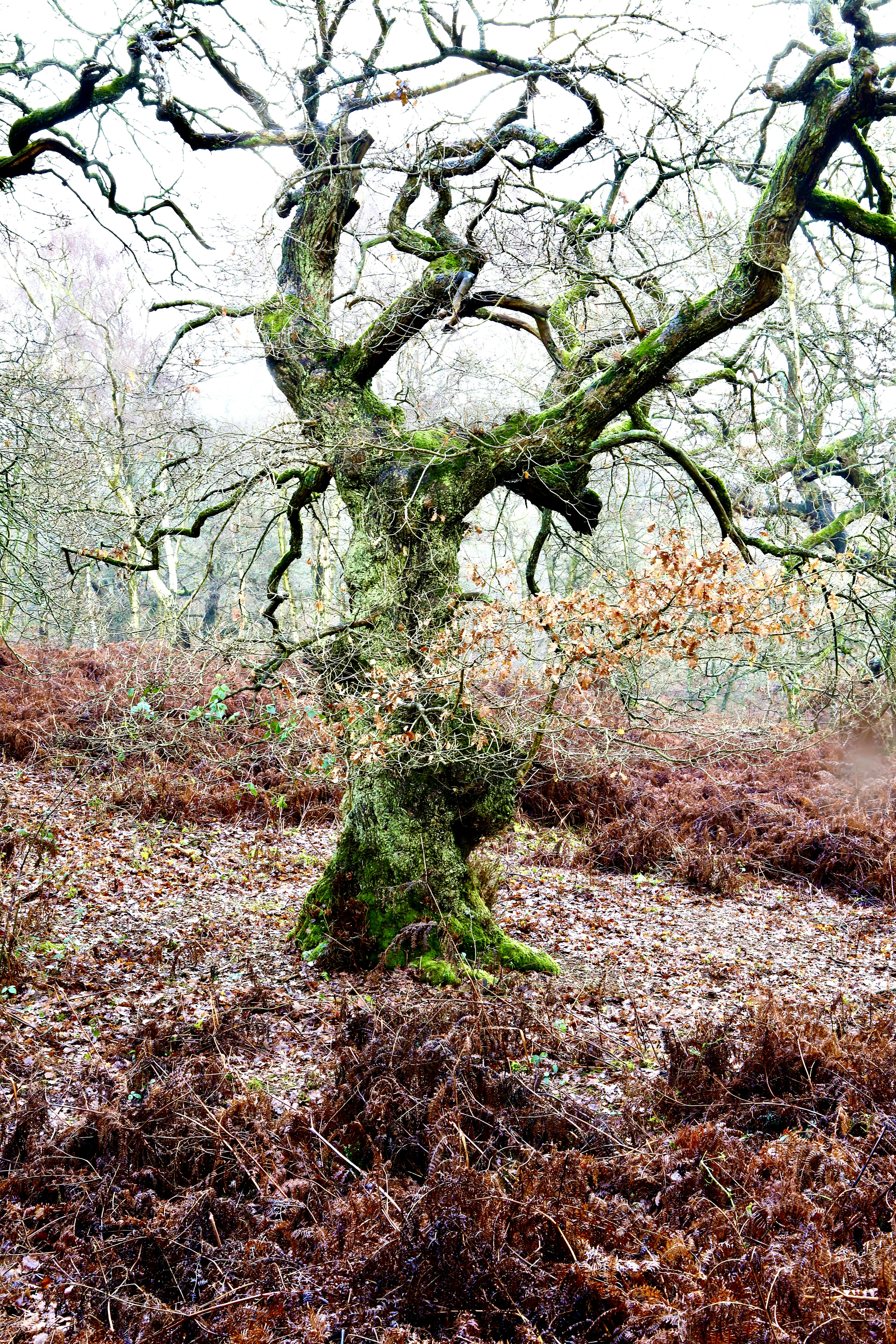 Photo by puffinadventures