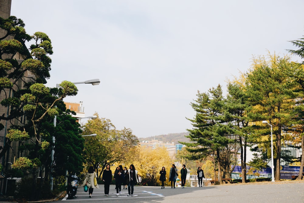 people walking on street during daytime