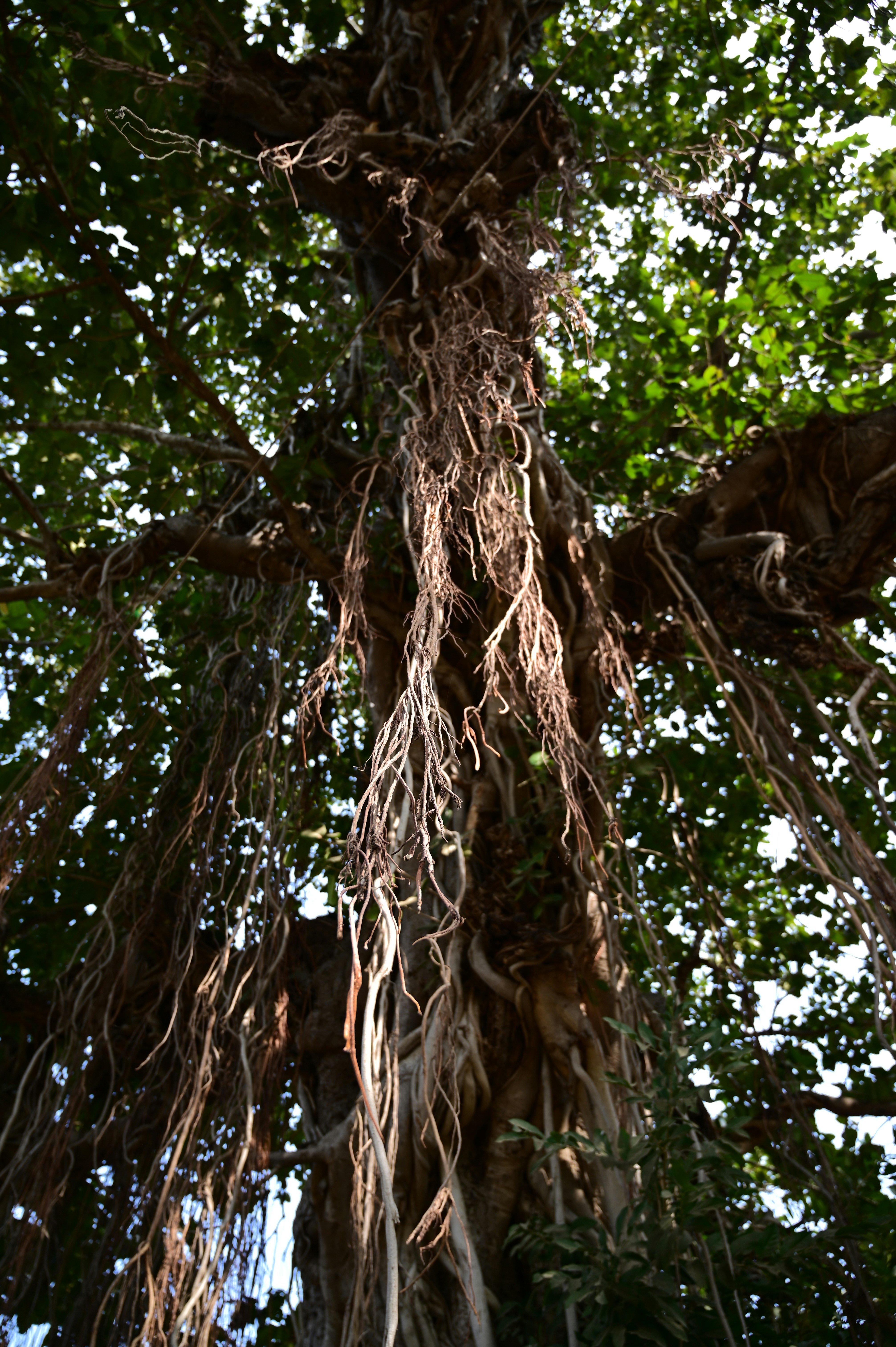 Photo by rrajputphotography