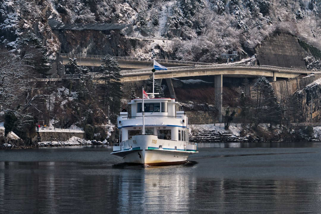 white and blue boat on river during daytime