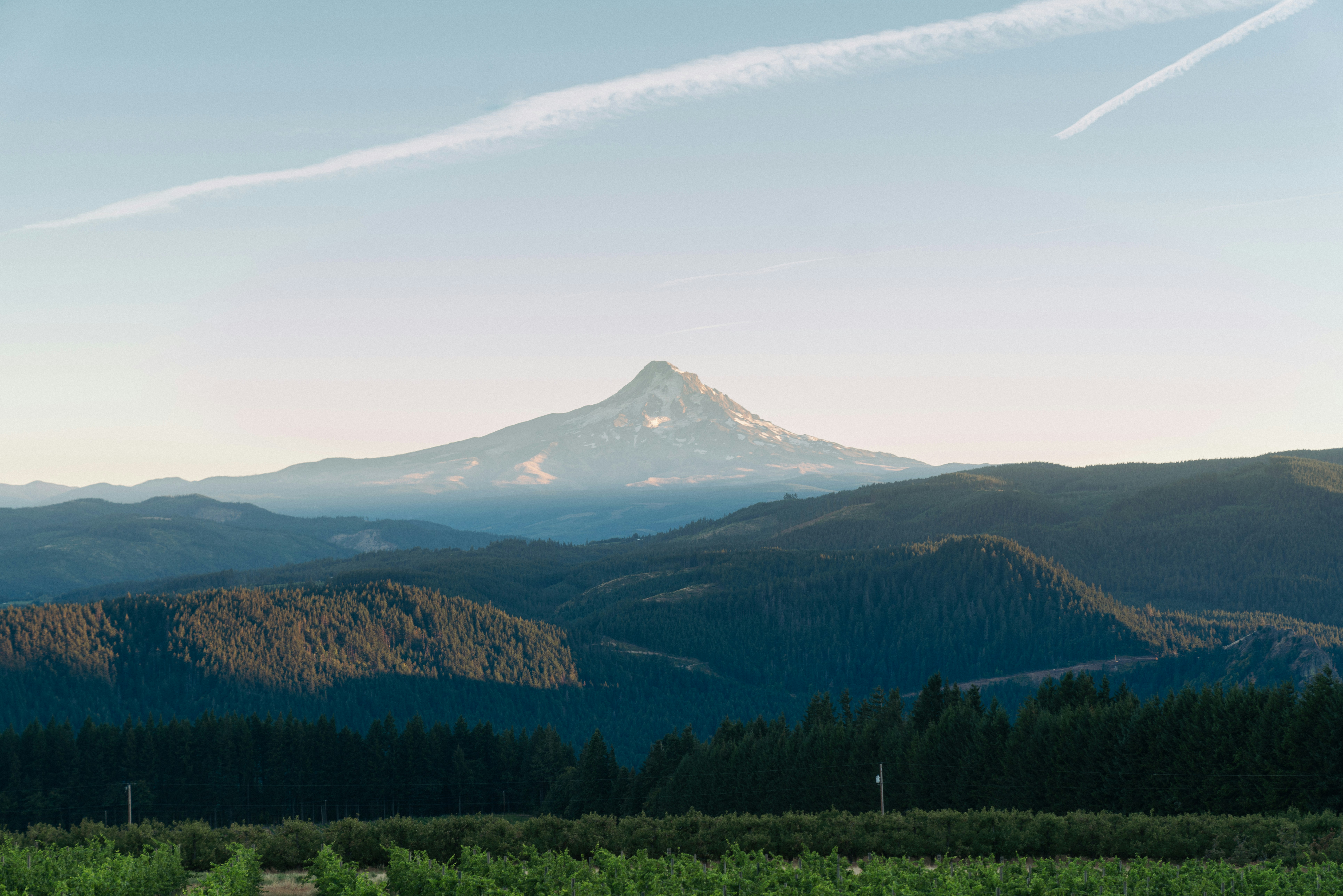 green trees and mountain under white clouds during daytime