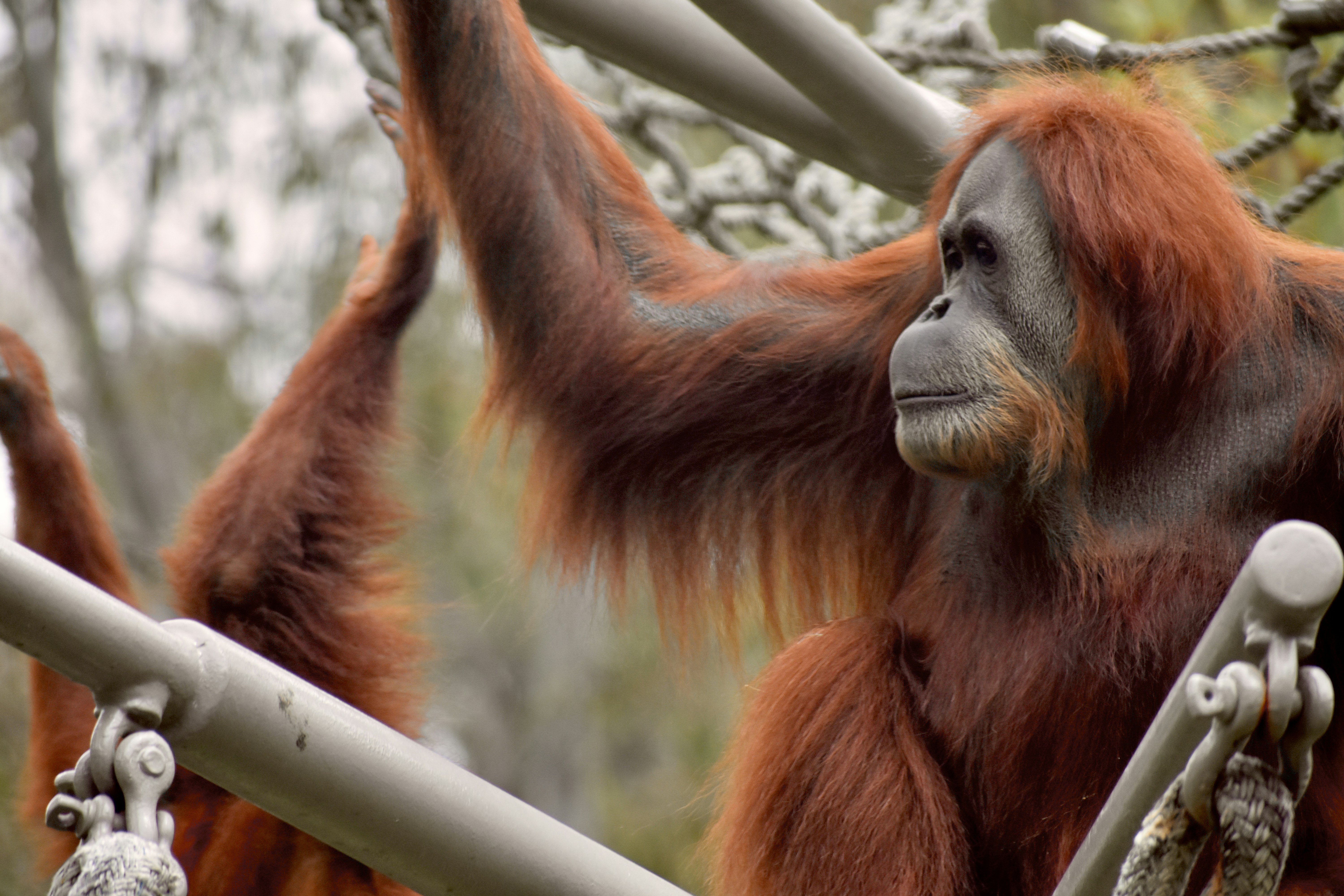 Photo by chrisgtellez