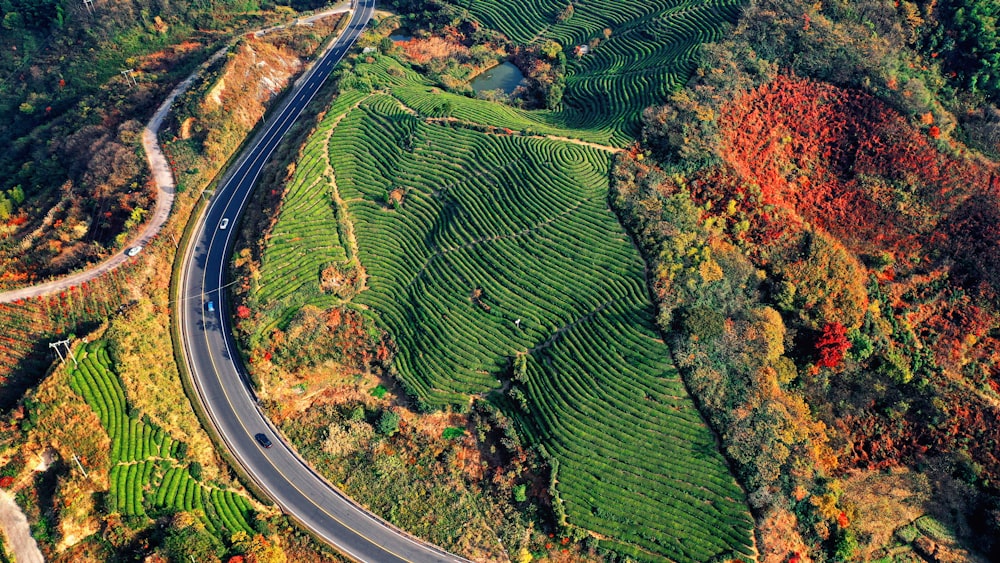 aerial view of green field during daytime