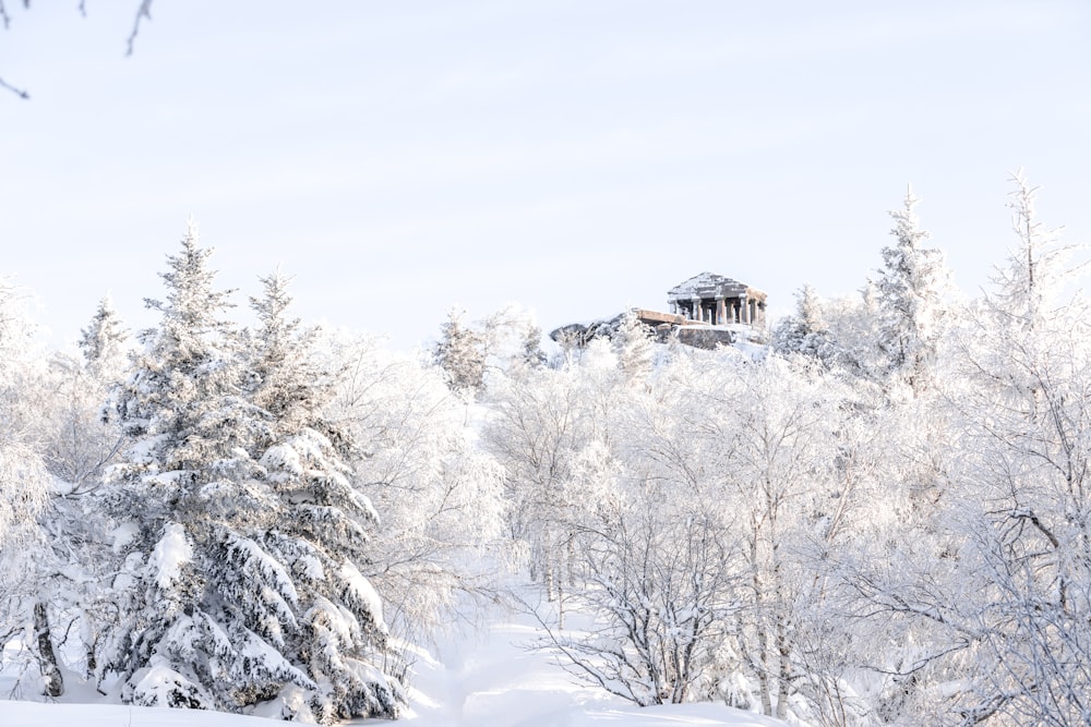 brown wooden house surrounded by snow covered trees during daytime