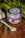 A jar labeled 'Asian Poultry' with a purple lid and label is placed on a wooden surface. The label features illustrations of herbs. A white ceramic spoon filled with a ground spice blend is positioned next to the jar. Scattered around are peppercorns and other small dried spices. Fresh greenery and whole garlic bulbs decorate the background, adding a rustic and organic touch.