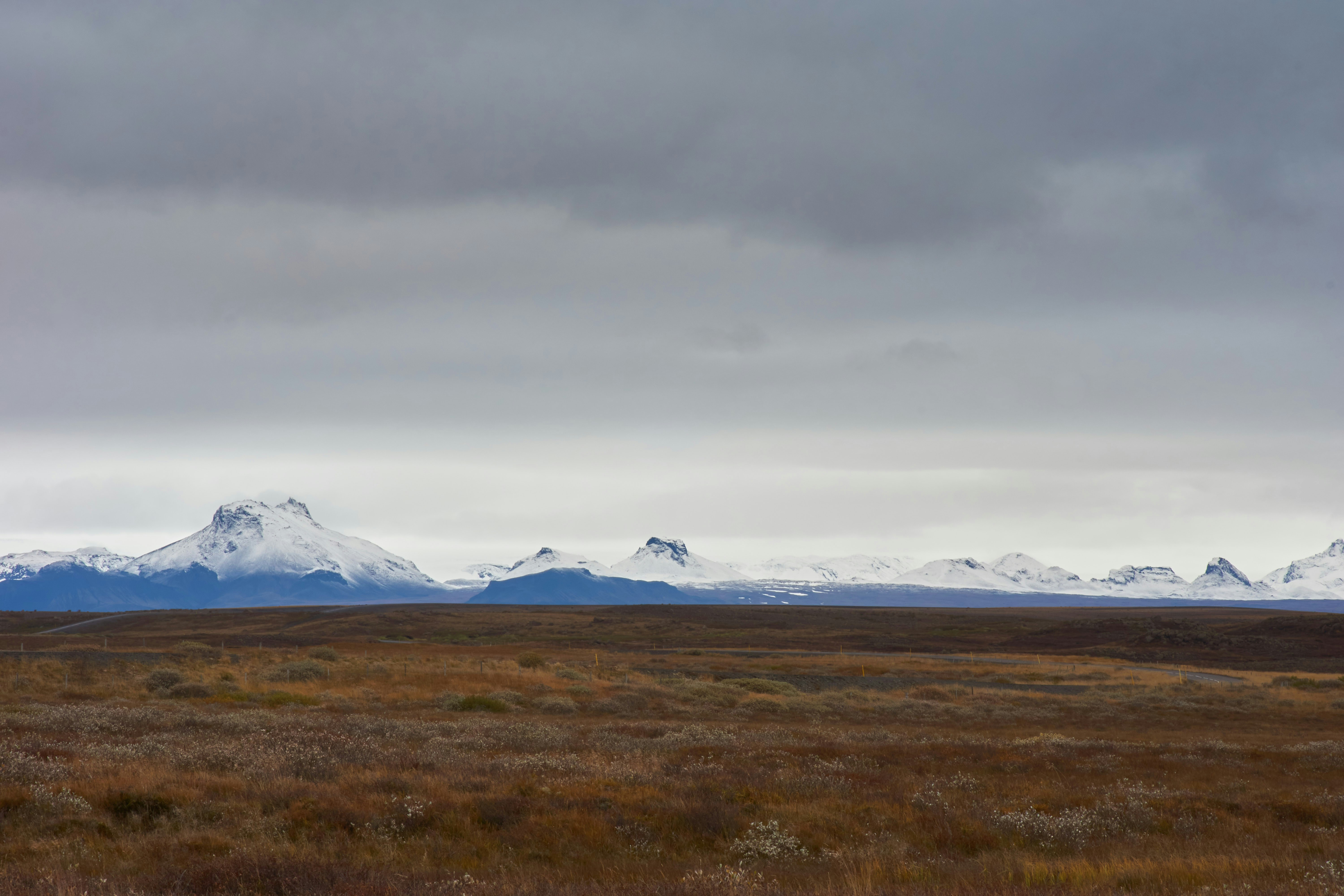 Photo by wolfgang_hasselmann