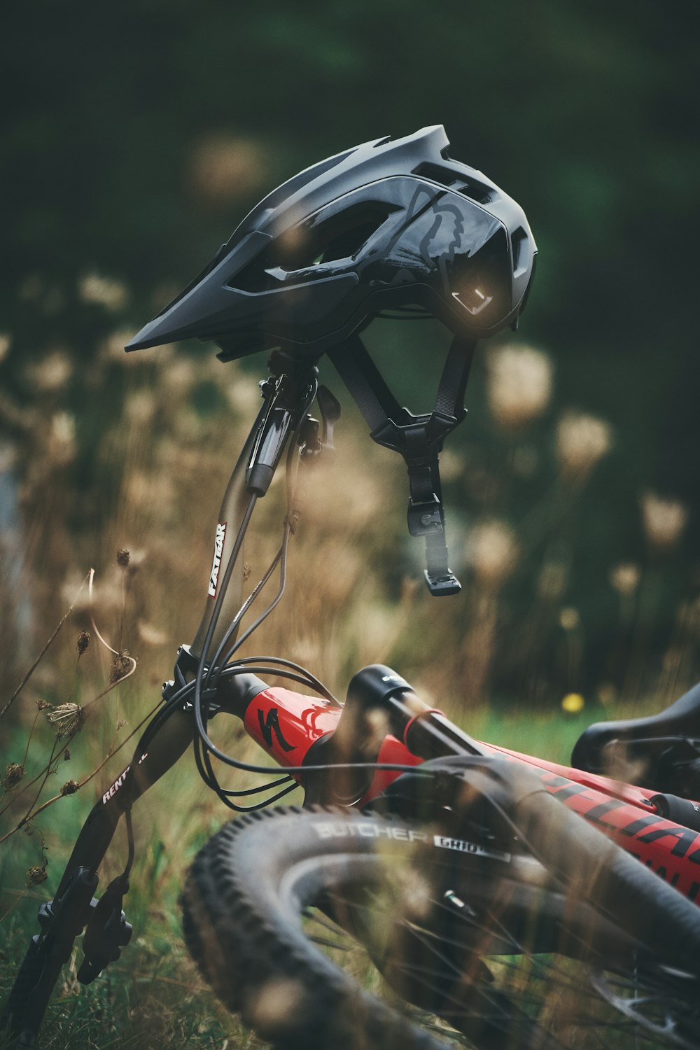 낮 동안 갈색 잔디에 검은 색과 빨간색 자전거 헬멧