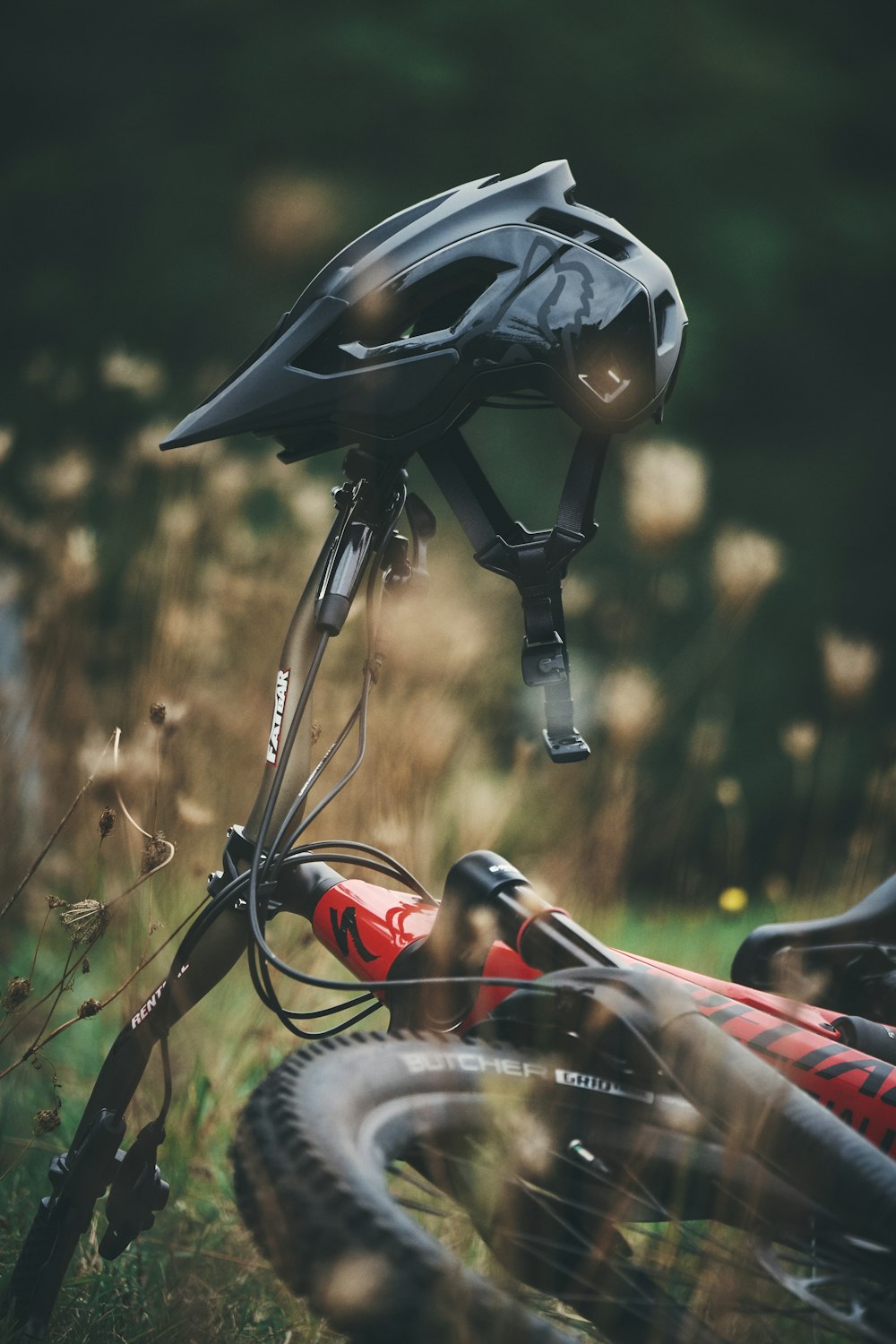 schwarz-roter Fahrradhelm tagsüber auf braunem Gras