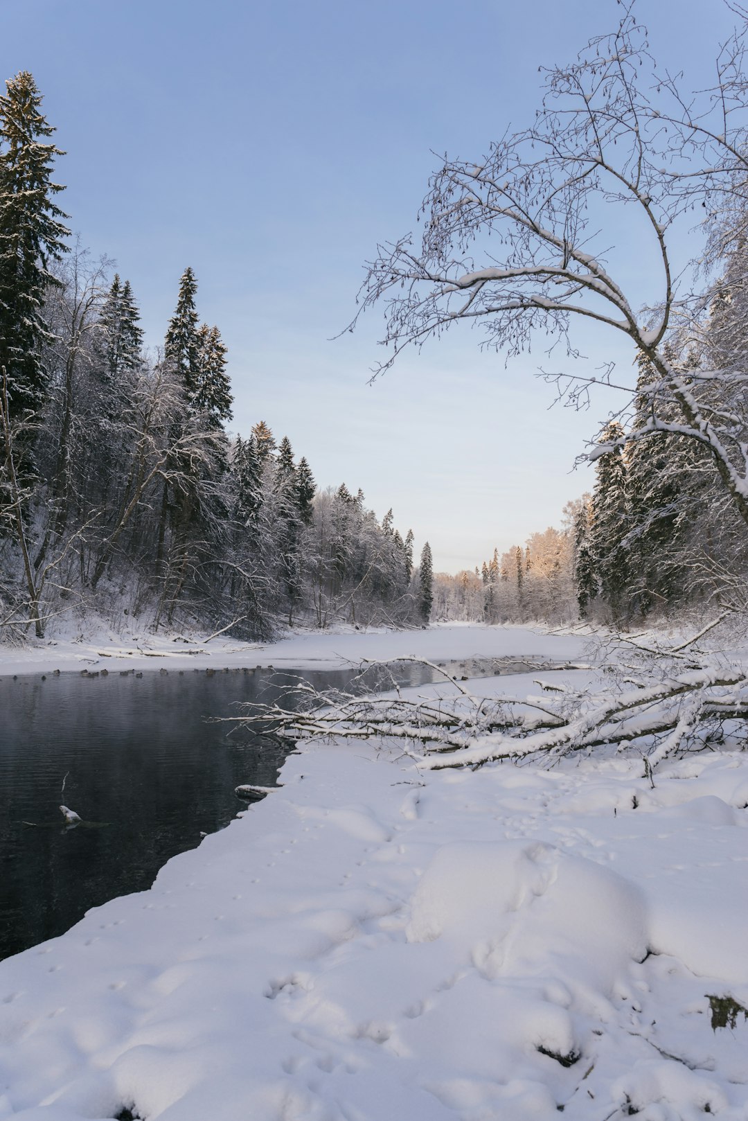 snow covered field near lake during daytime