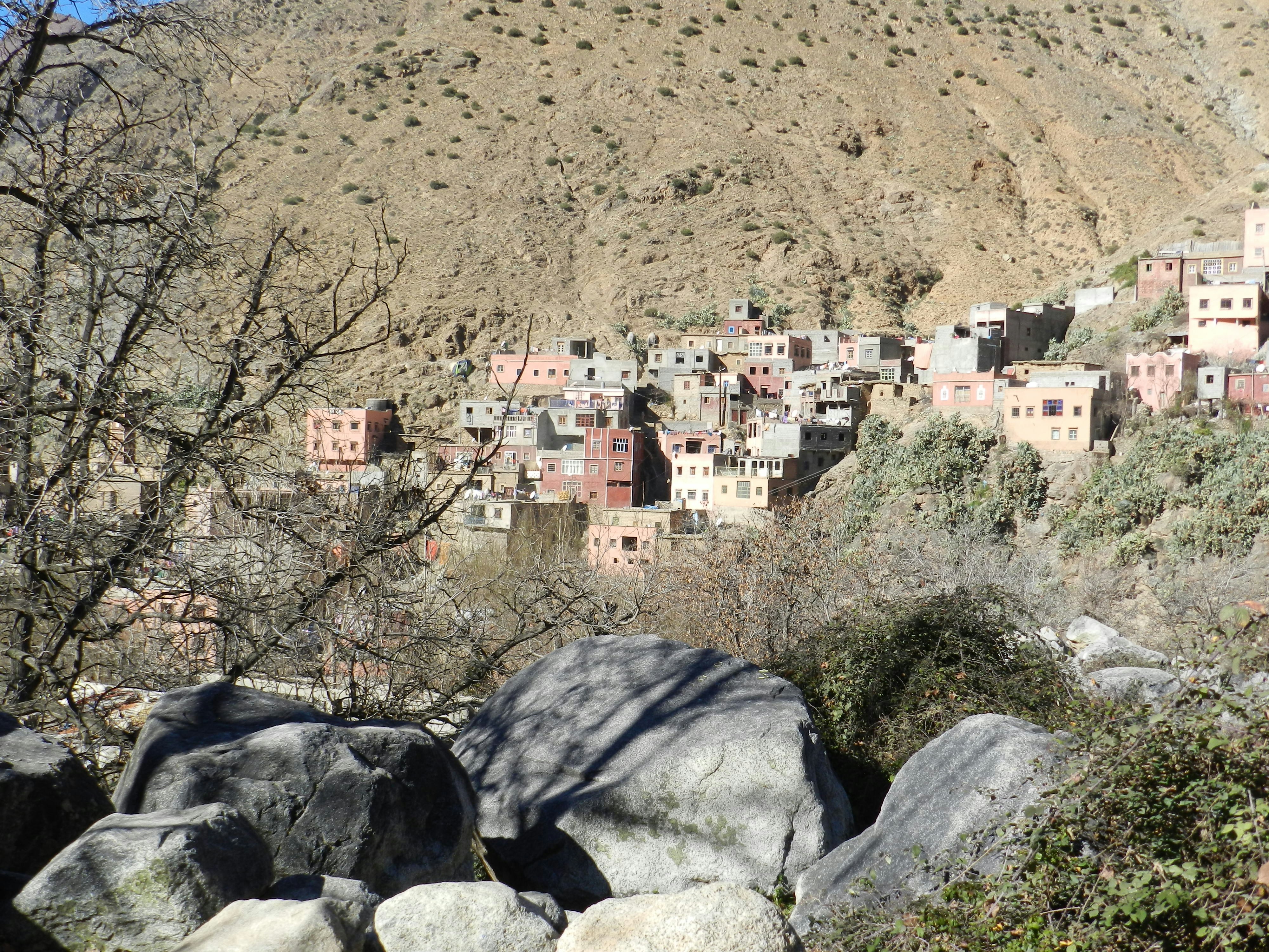 Photo by connievandenakker