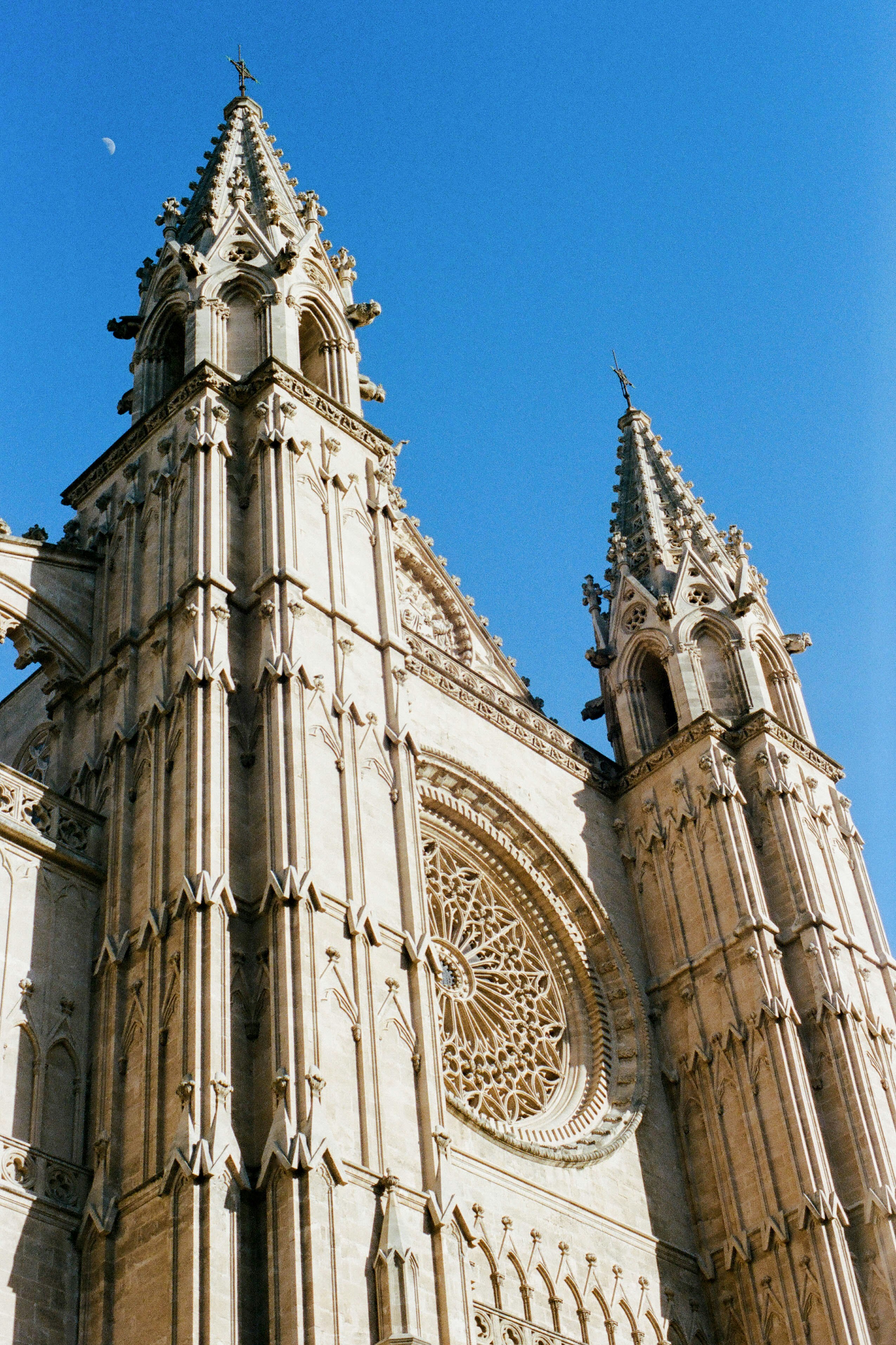 View of Palma de Mallorca Cathedral with a blue sky