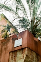 A street sign reading 'Carrer de Sant Feliu' is displayed on a corner of a reddish-brown brick wall. Above, large green palm fronds stretch out, with a partially visible building in the background. The building has pastel-colored walls and shutters on the windows.