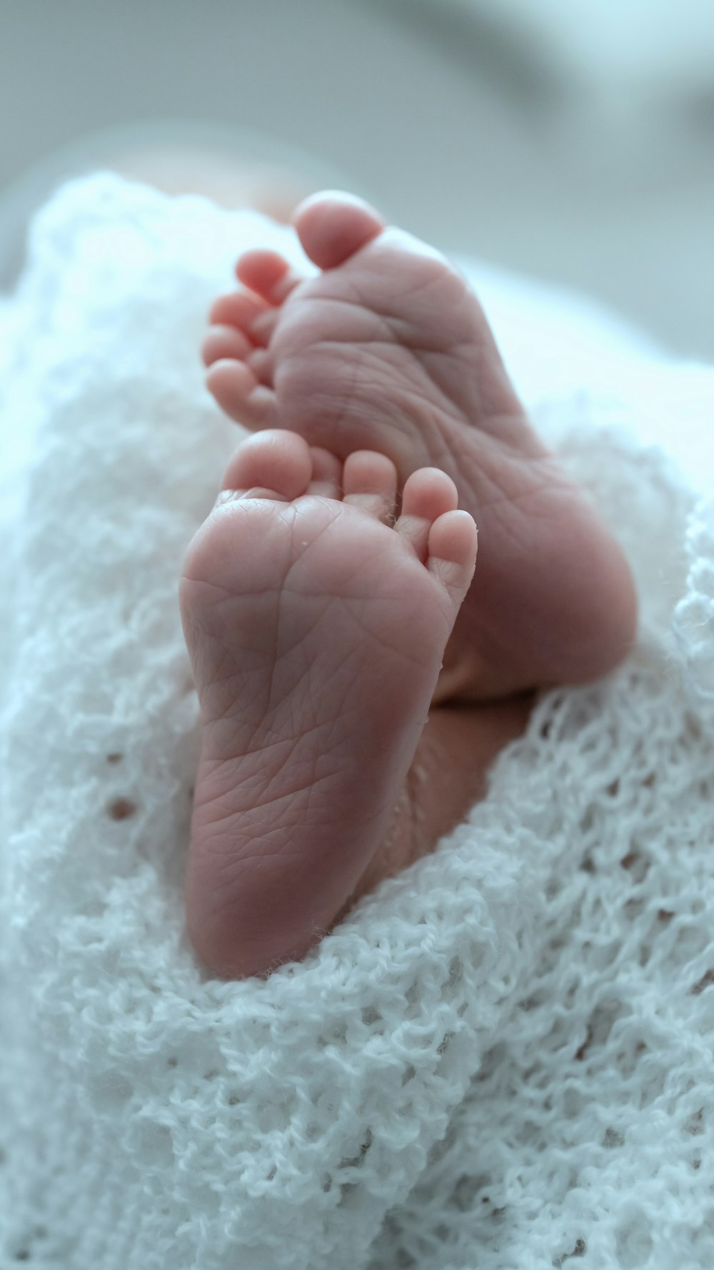 person holding babys feet