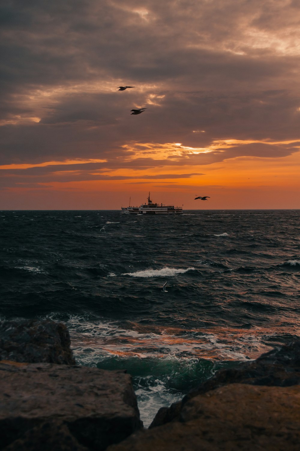 birds flying over the sea during sunset