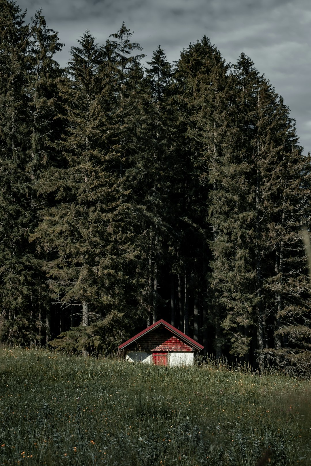 Natural landscape photo spot Plansee Leutasch