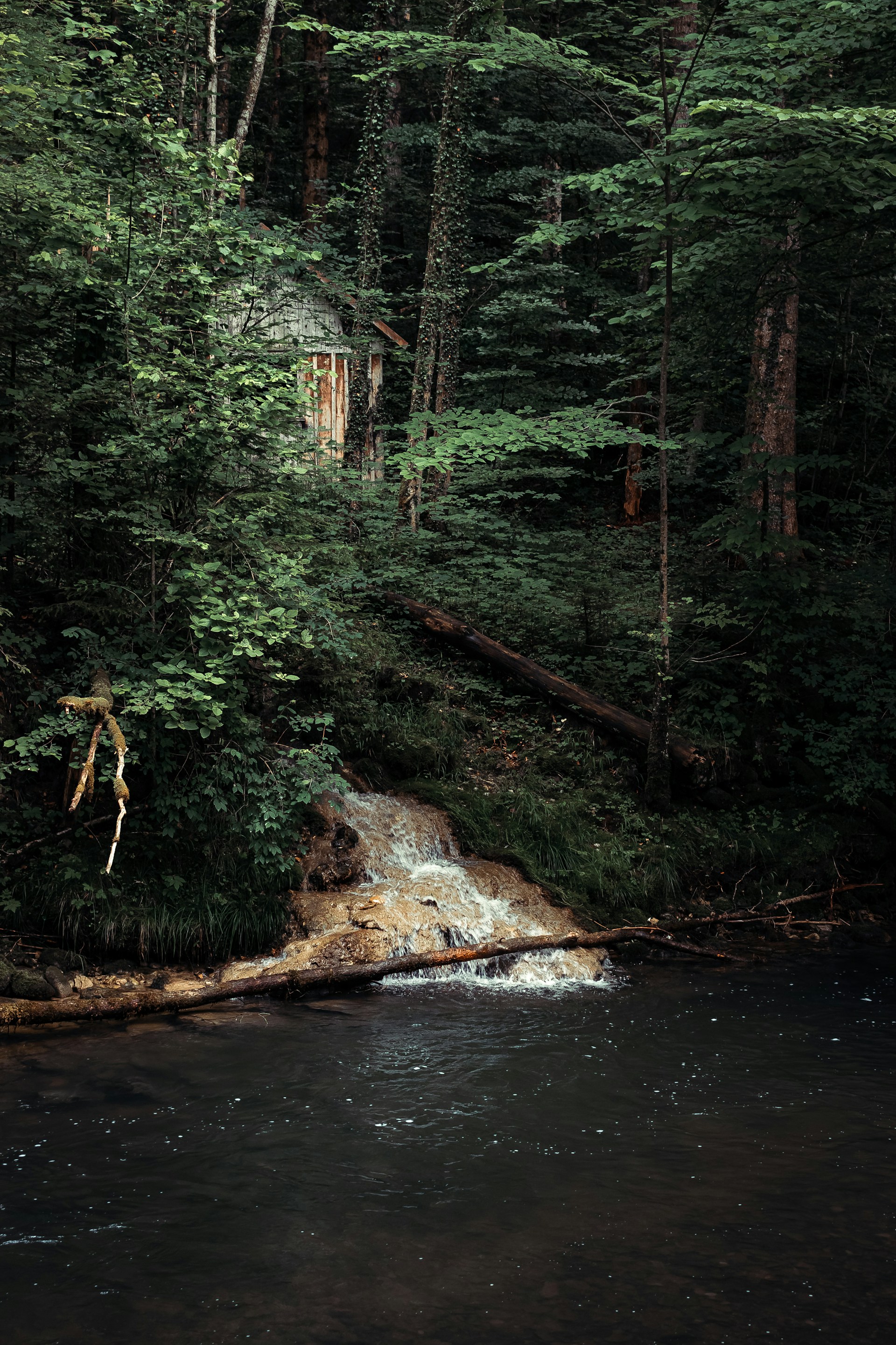 A small wooden cabin is nestled in a dense forest with a cascading stream flowing into a serene river. The area is lush with green foliage, with trees and shrubs densely packed around the cabin and water. Sunlight filters through the trees, casting dappled shadows over the scene, creating a sense of seclusion and tranquility.