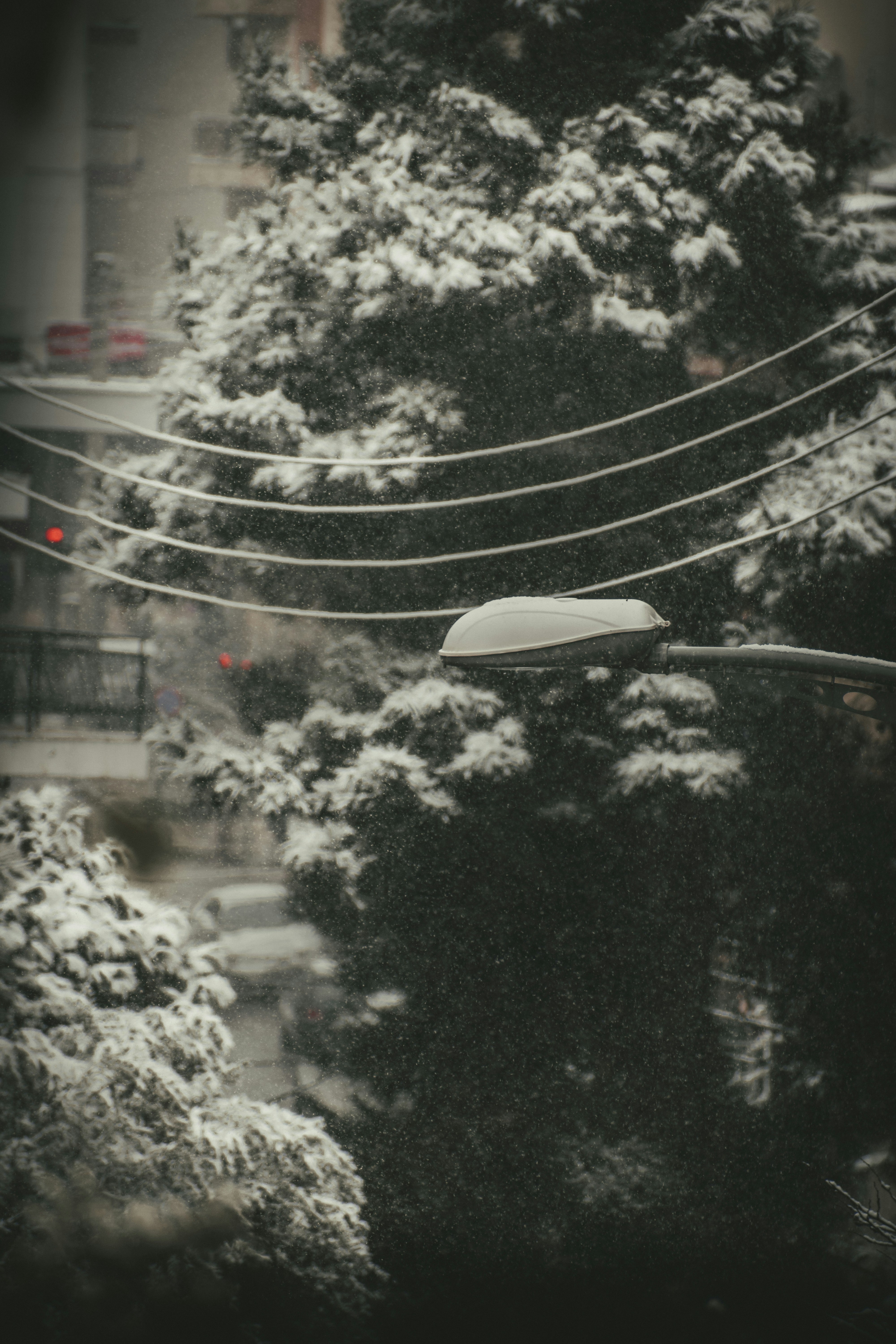 Teleférico blanco sobre árboles verdes durante el día