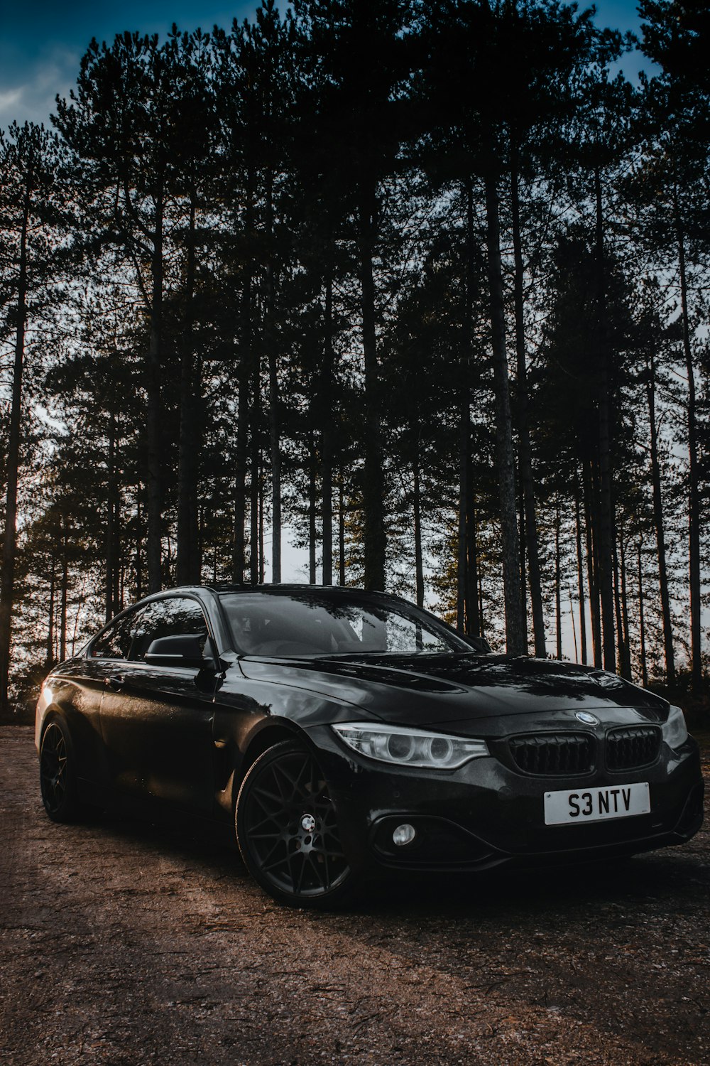 black bmw m 3 on forest during daytime