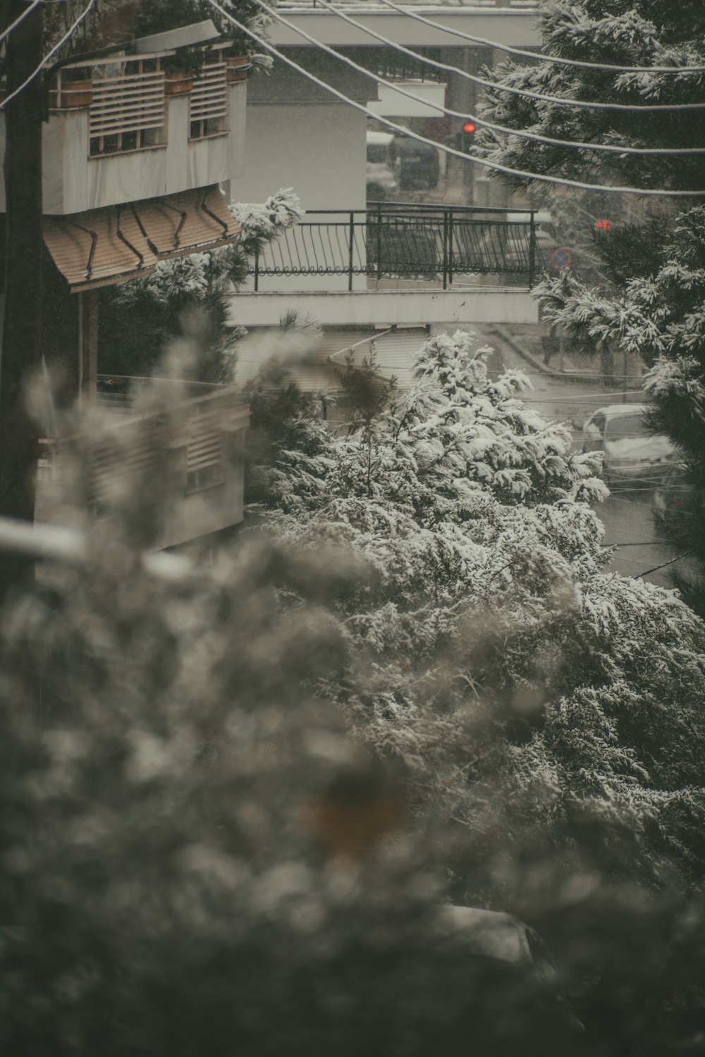 white snow on brown wooden fence