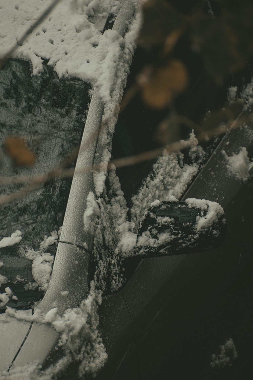 white snow on black tree branch