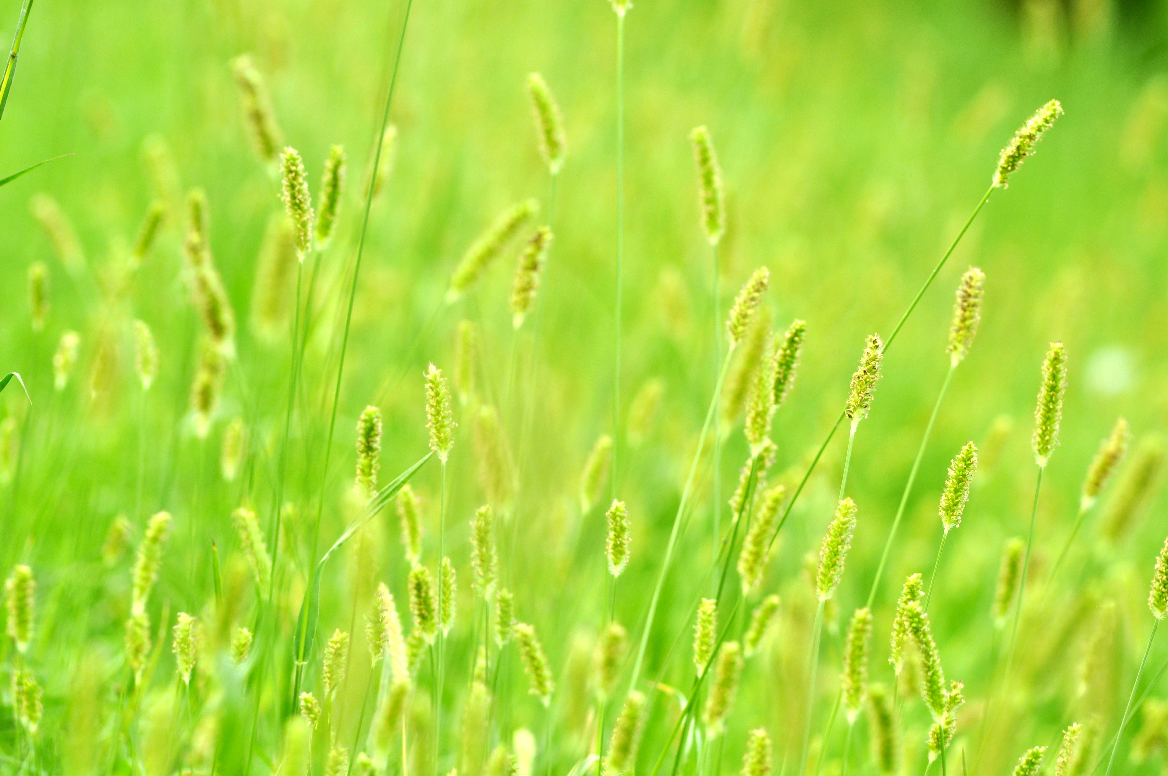 Photo by aryanghauri2020