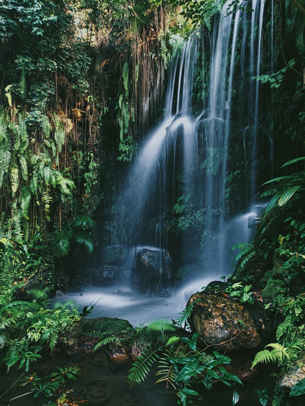 water falls in the middle of the forest