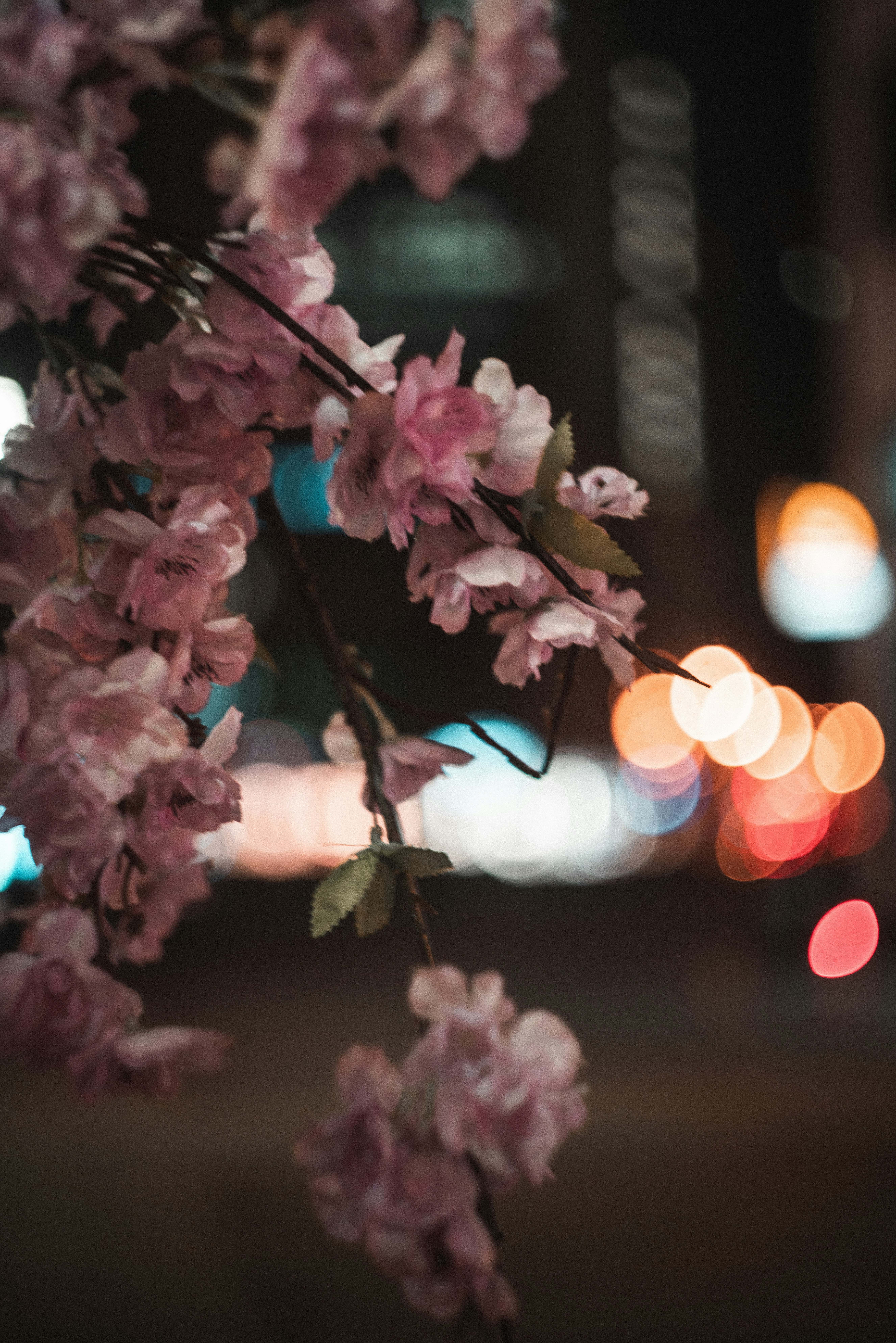 Photo by mirkosphoto