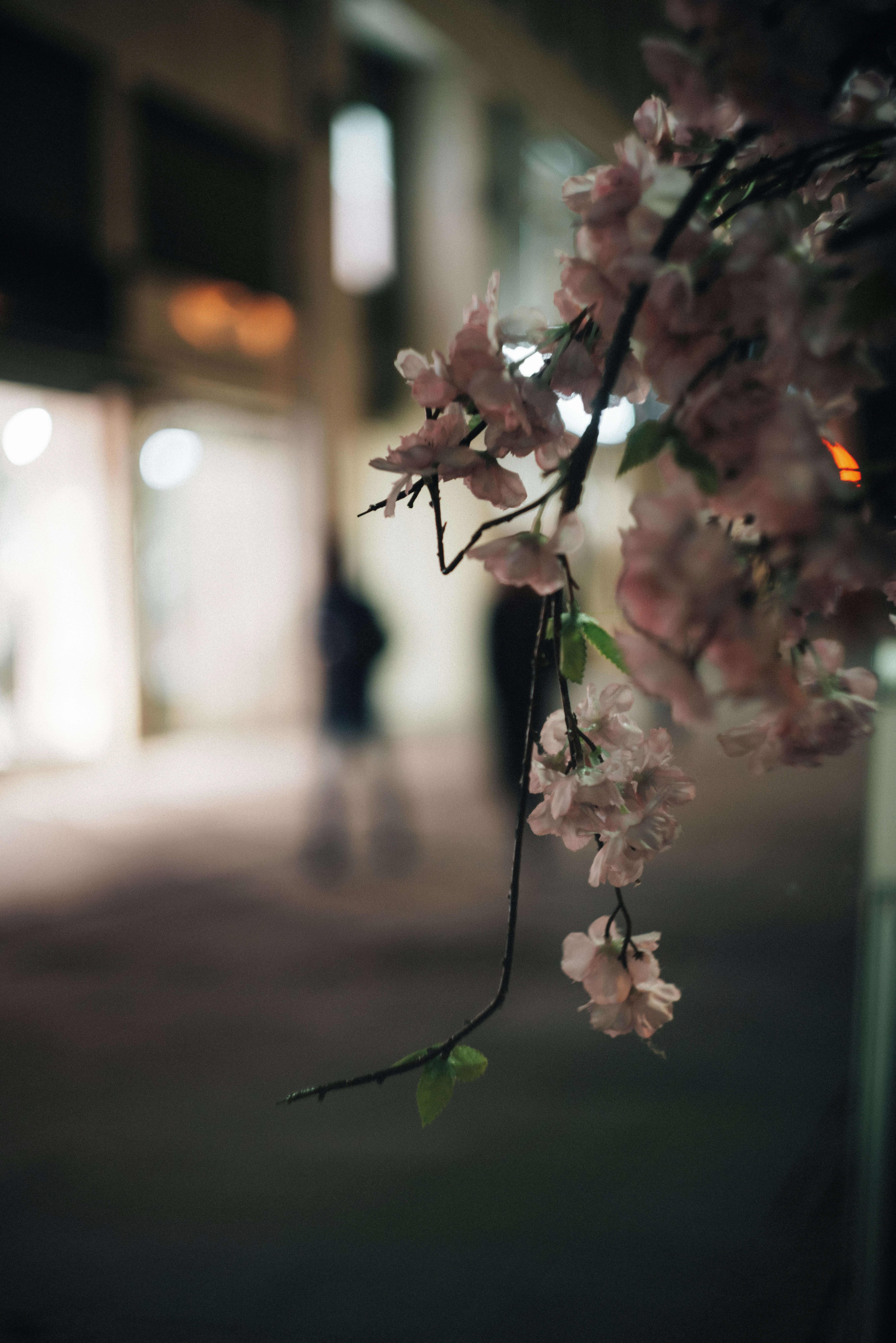 Photo by mirkosphoto