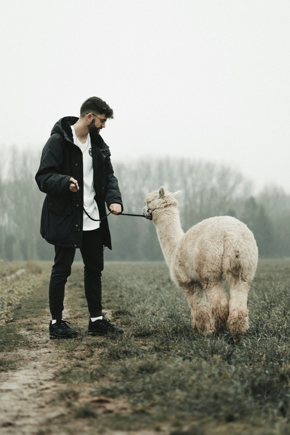 man in gray jacket standing beside white sheep during daytime