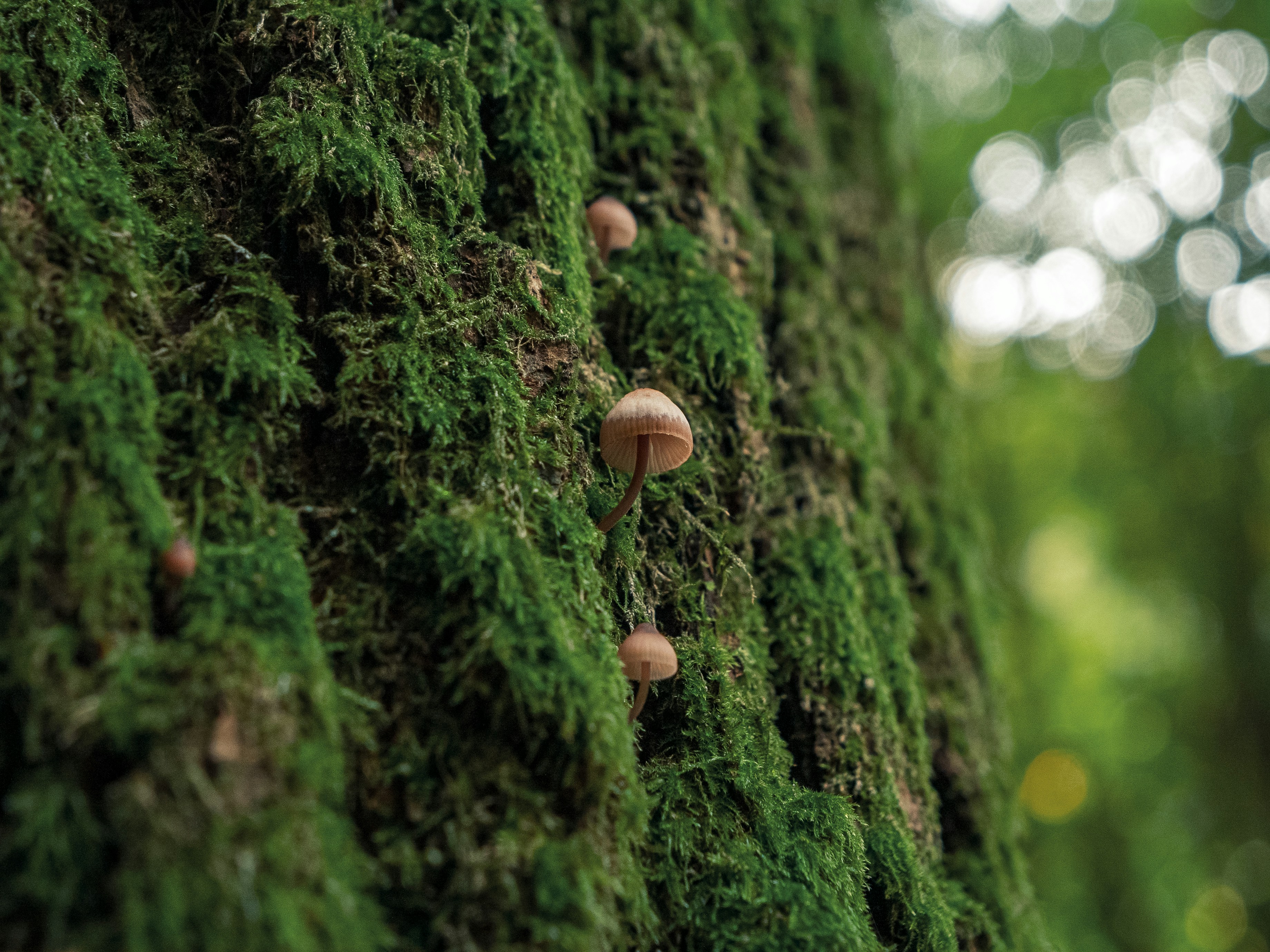 Photo by space_face_films