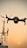 A drone is flying in the foreground, captured against a backdrop of a sunset. The sky is golden and clear, providing a striking contrast to the dark silhouette of a communication tower on the left side of the image.