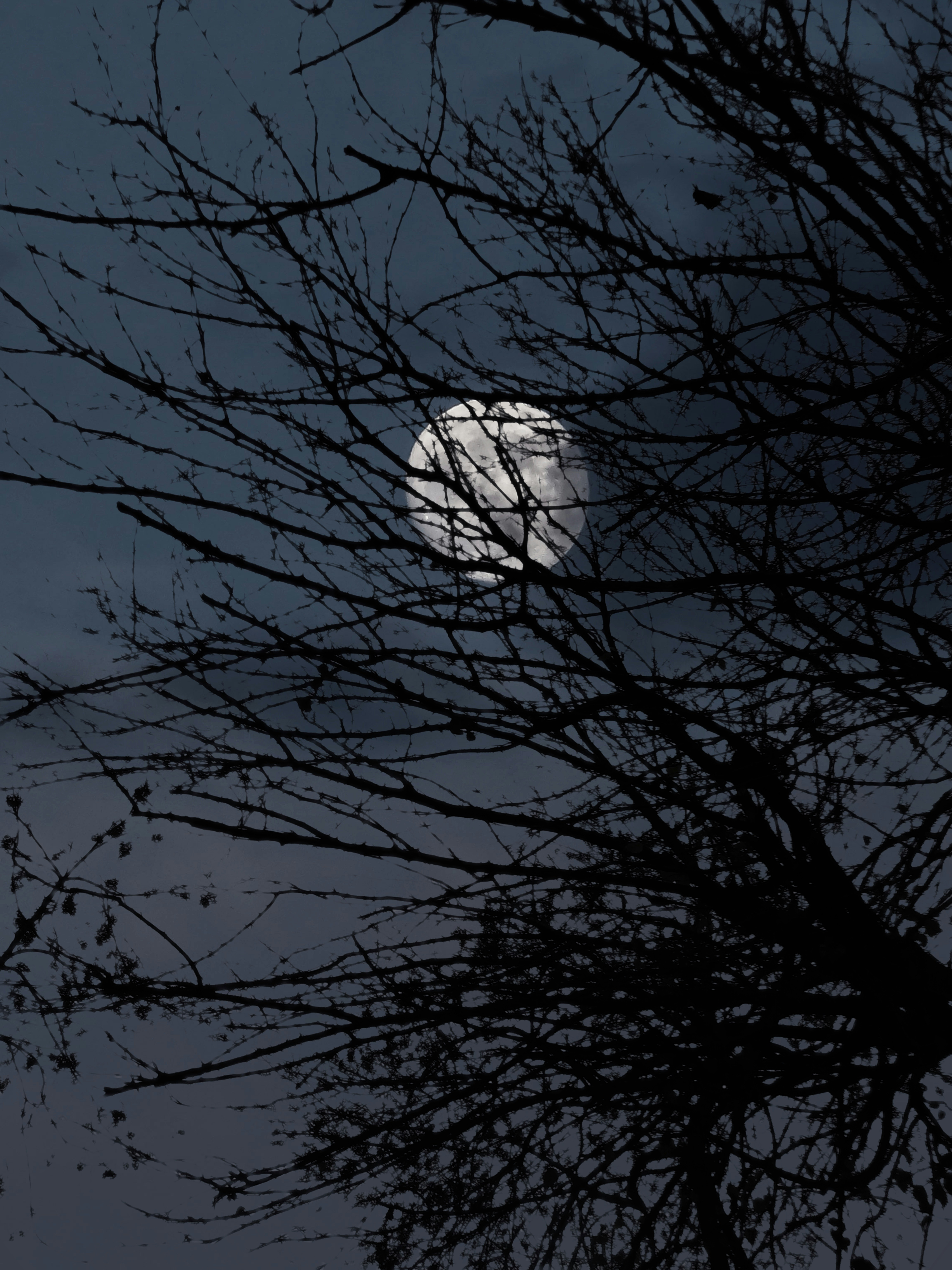 Photo by salmanarshad