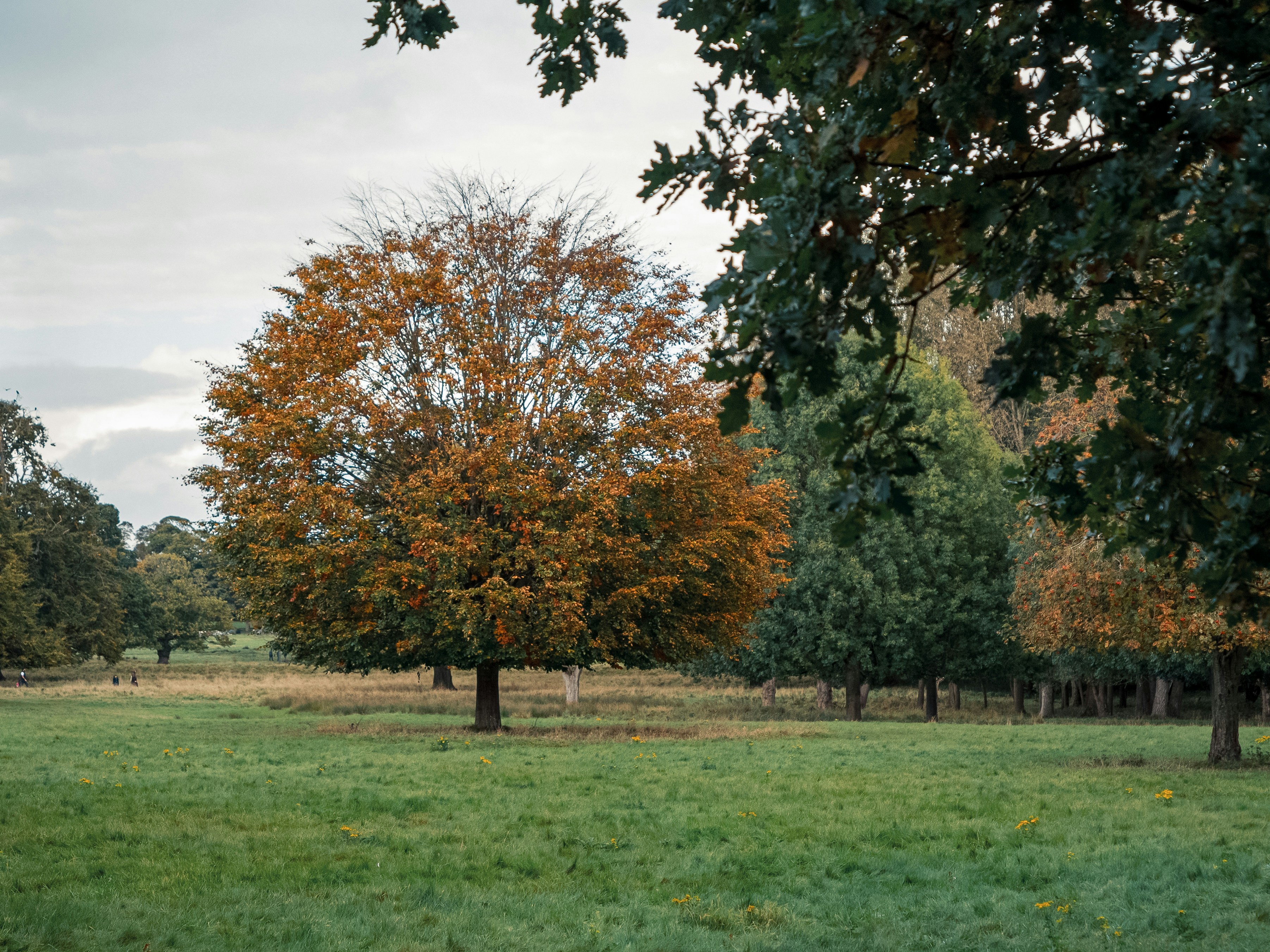 Photo by space_face_films