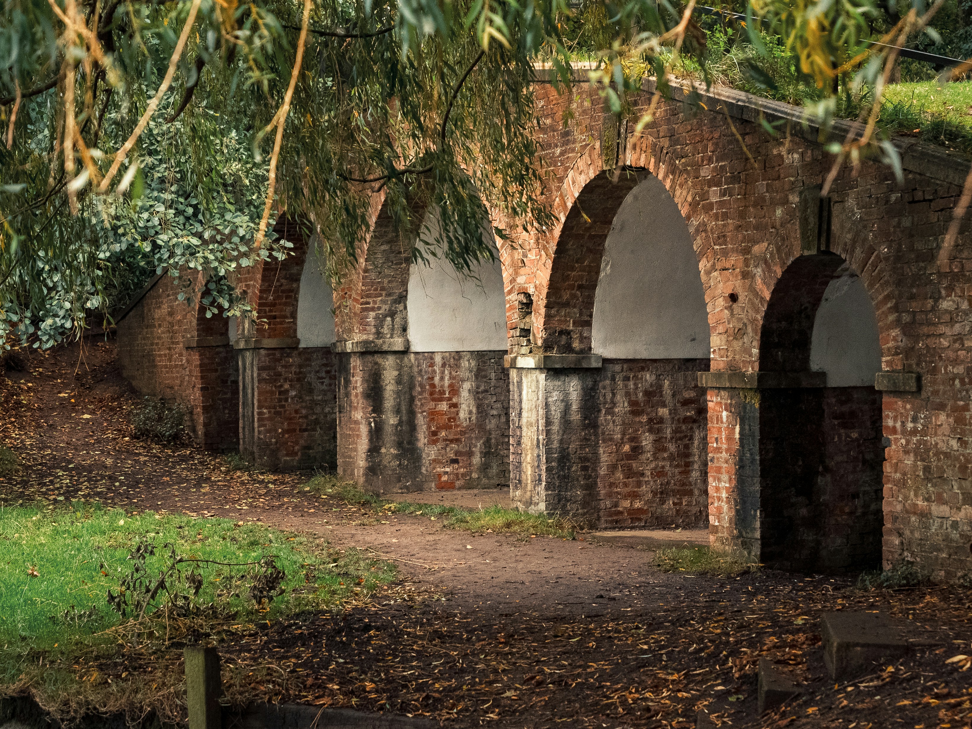 Photo by space_face_films