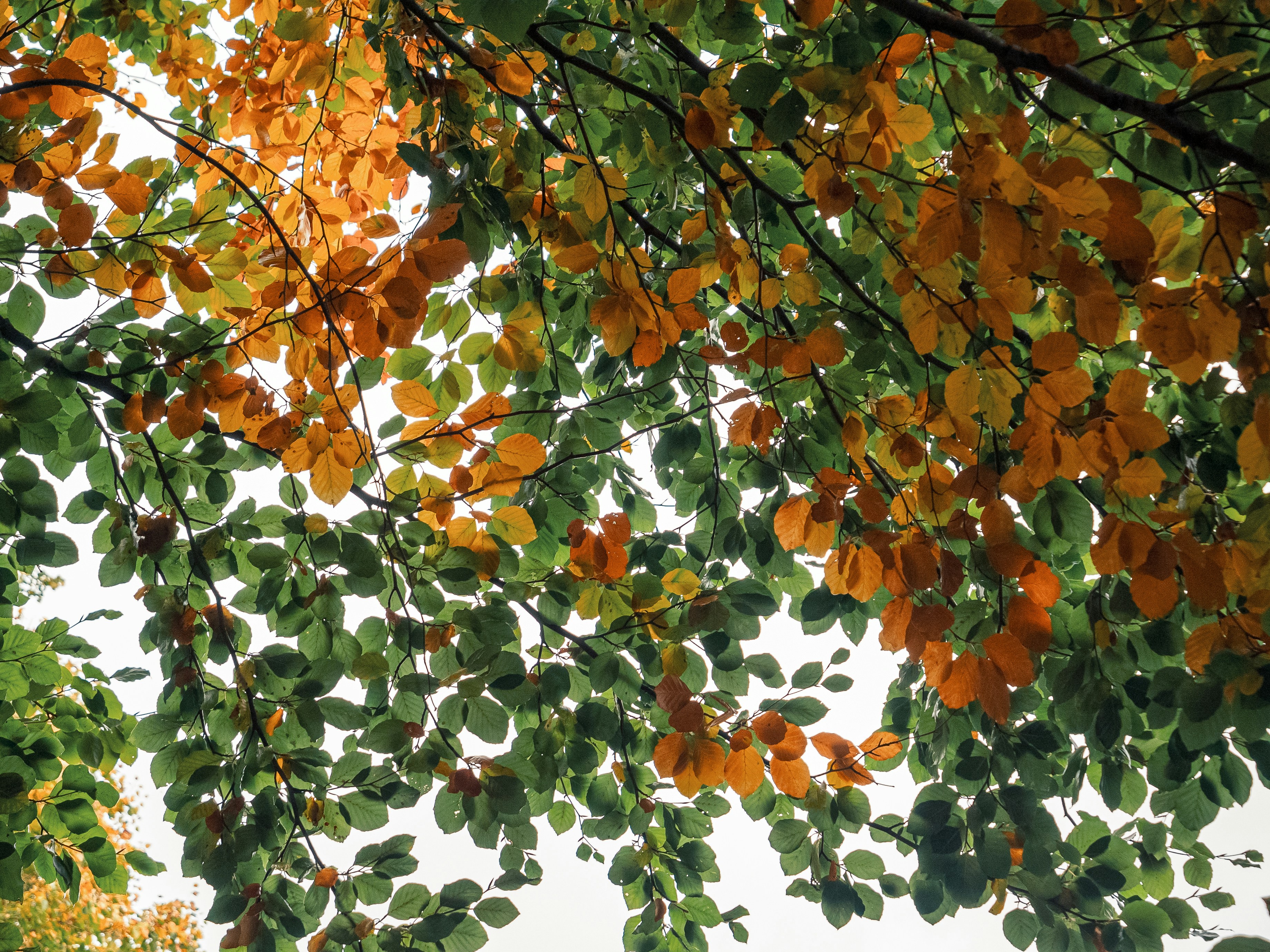 Photo by space_face_films