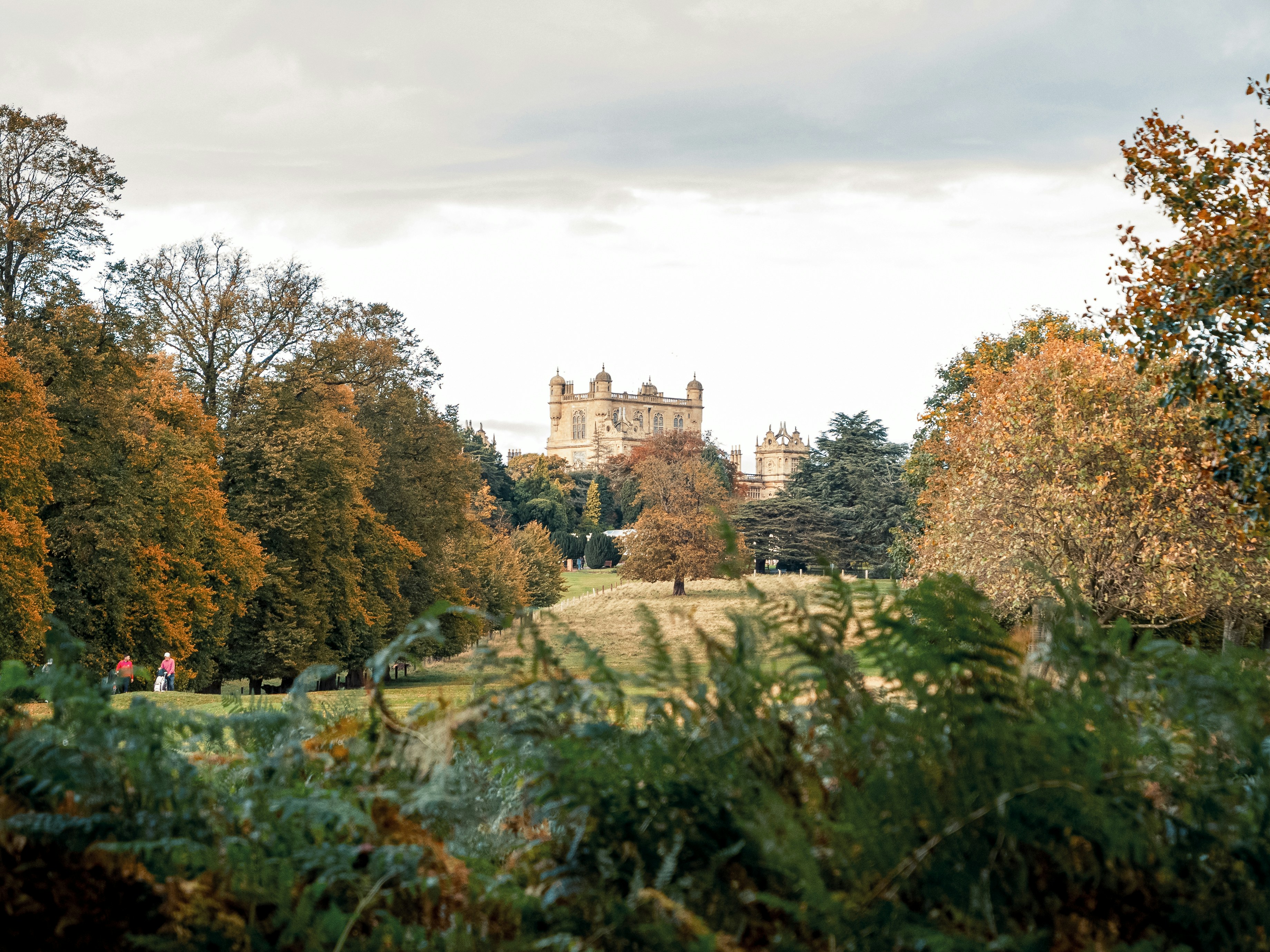 Photo by space_face_films