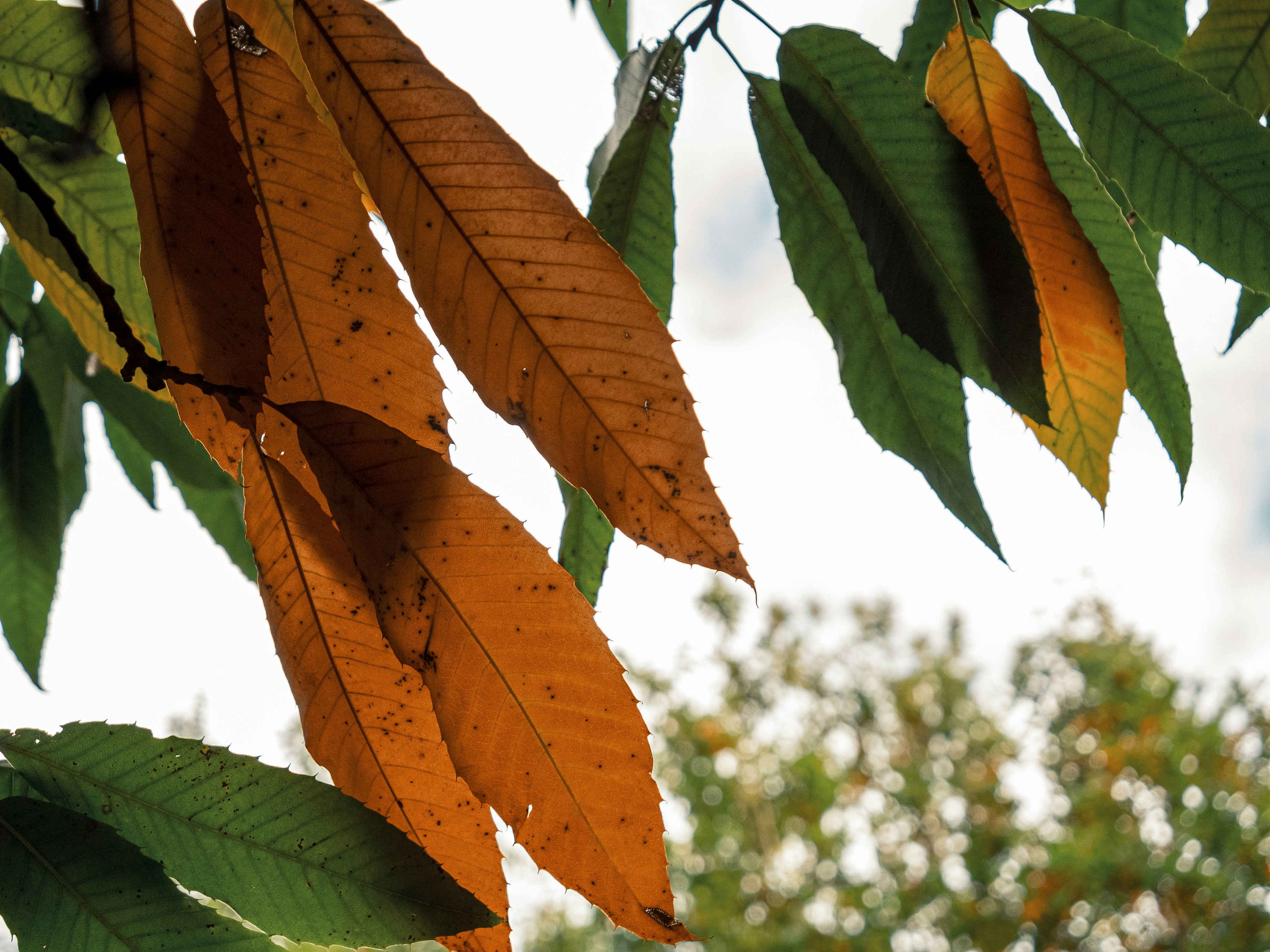 Photo by space_face_films