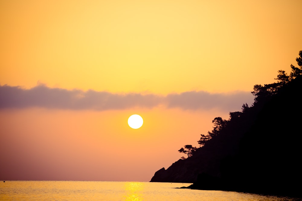 silhouette of trees near body of water during sunset