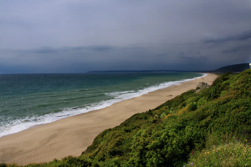 Playa salvaje andaluza con monte verde junto al mar