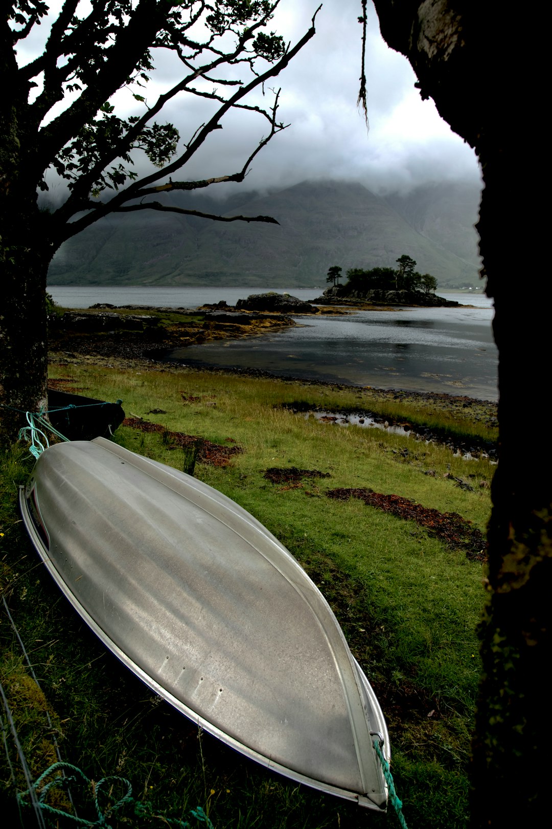 white boat on green grass near body of water during daytime