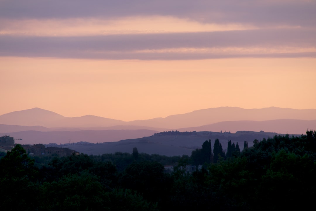 green trees and mountains during daytime