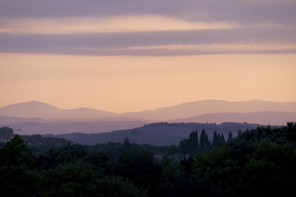 green trees and mountains during daytime